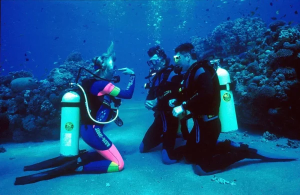 Scuba Diving in Goa - Image 3