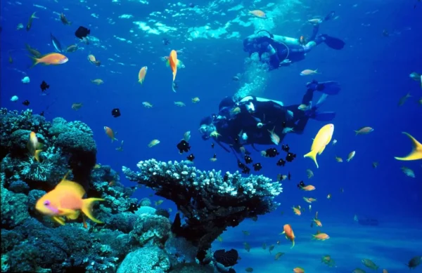 Scuba Diving in Goa - Image 6