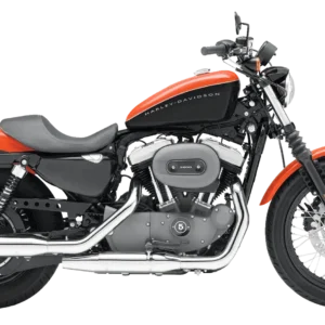 Harley Davidson 1200 motorcycle for luxury rentals in Goa